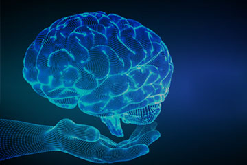 DS Brain and Neurological Disorders