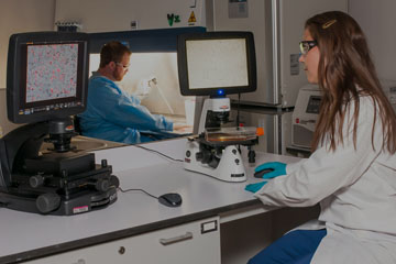 DS Molecular and Cellular Biochemistry