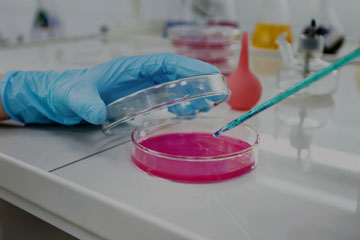 DS Journal of Microbiology