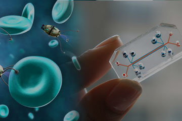 DS Nanotechnology and Nanomedicine