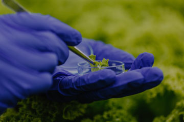 DS Plant Biology and Research