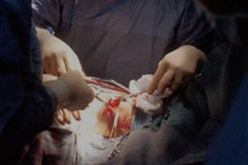 DS Vascular Medicine and Surgery